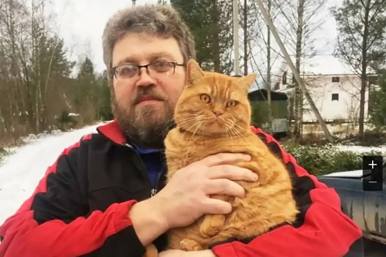 kucing cakar viral