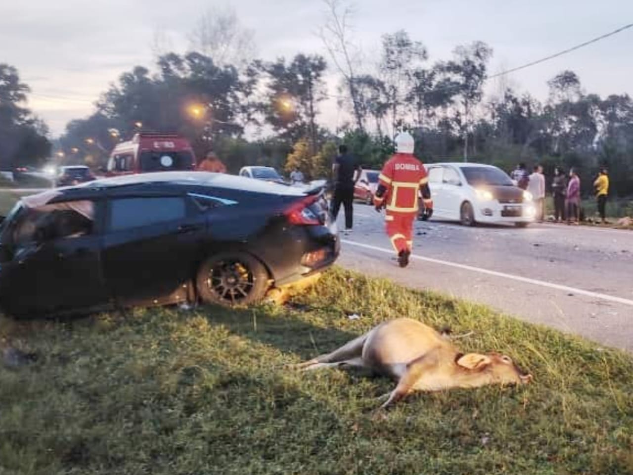 LEMBU POLIS BANTUAN MAUT
