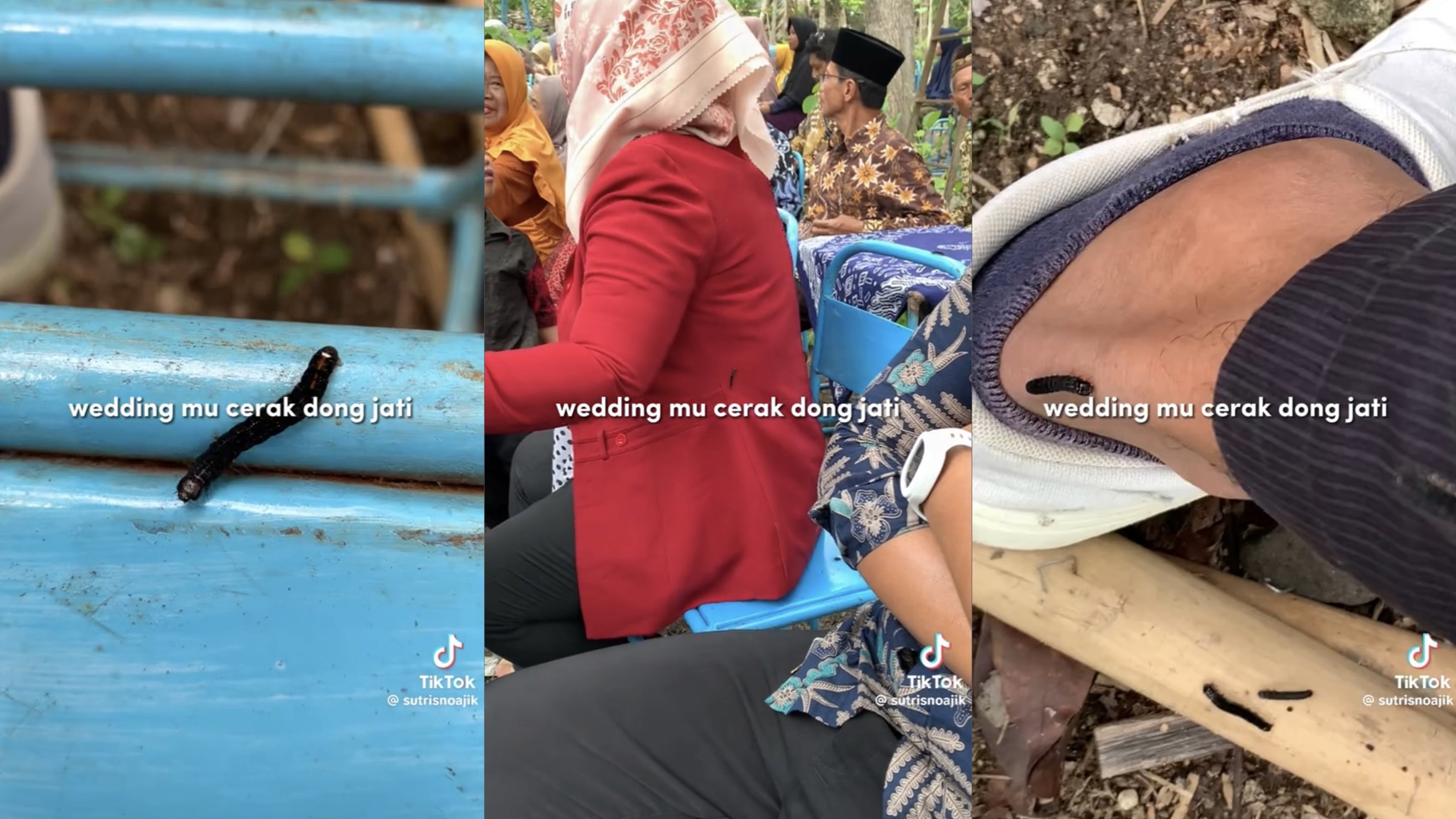 geli ulat