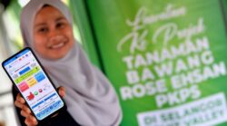 Urus ladang bawang di hujung jari, kurangkan tenaga kerja