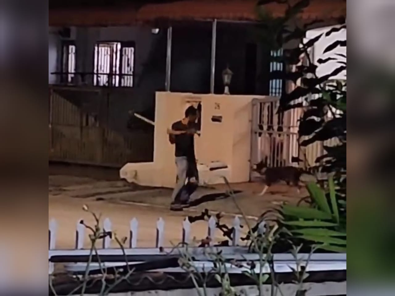 MEKANIK PUKUL ANJING
