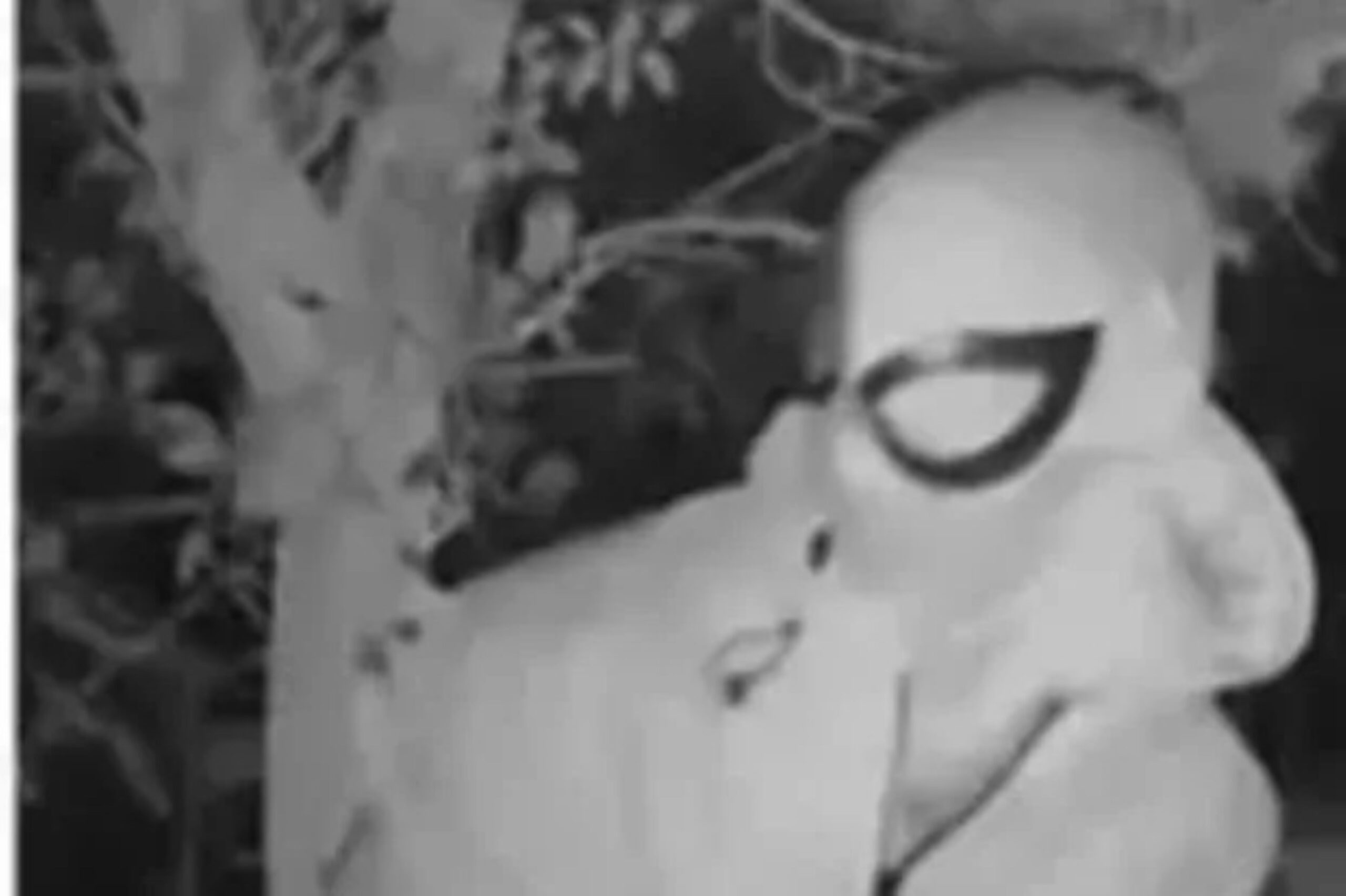 Stalker misteri scaled