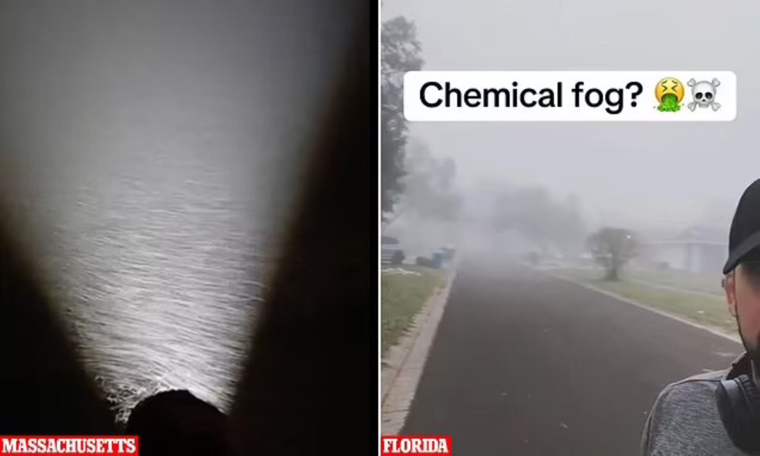 Viral fog scaled