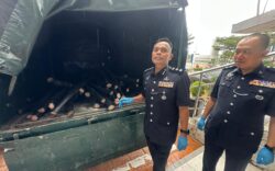 Geng Boy aktif curi kabel TM tersungkur