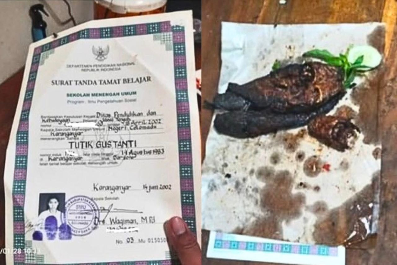 geli ijazah