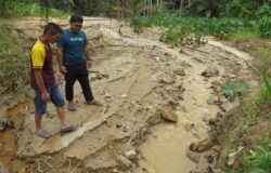 Teroka kebun sungai jadi cetek, berlumpur