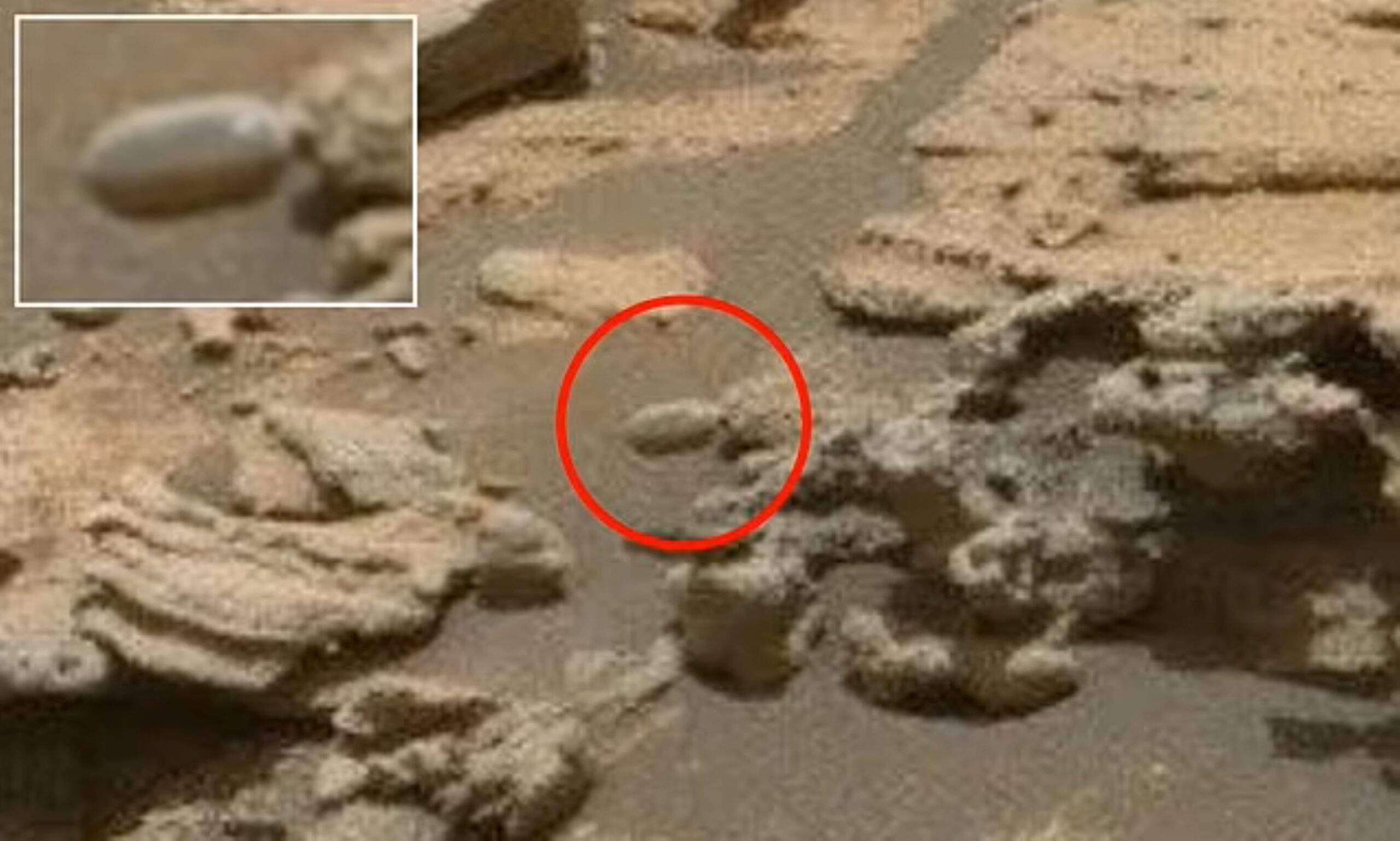 UFO Marikh1 scaled