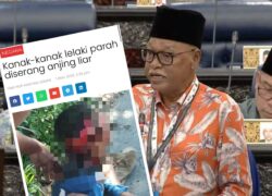 Ahli Parlimen Langkawi cadang satu pulau khas anjing diwujudkan