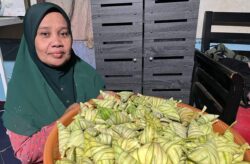 Siapkan 500 ketupat palas sambut anak, cucu balik beraya