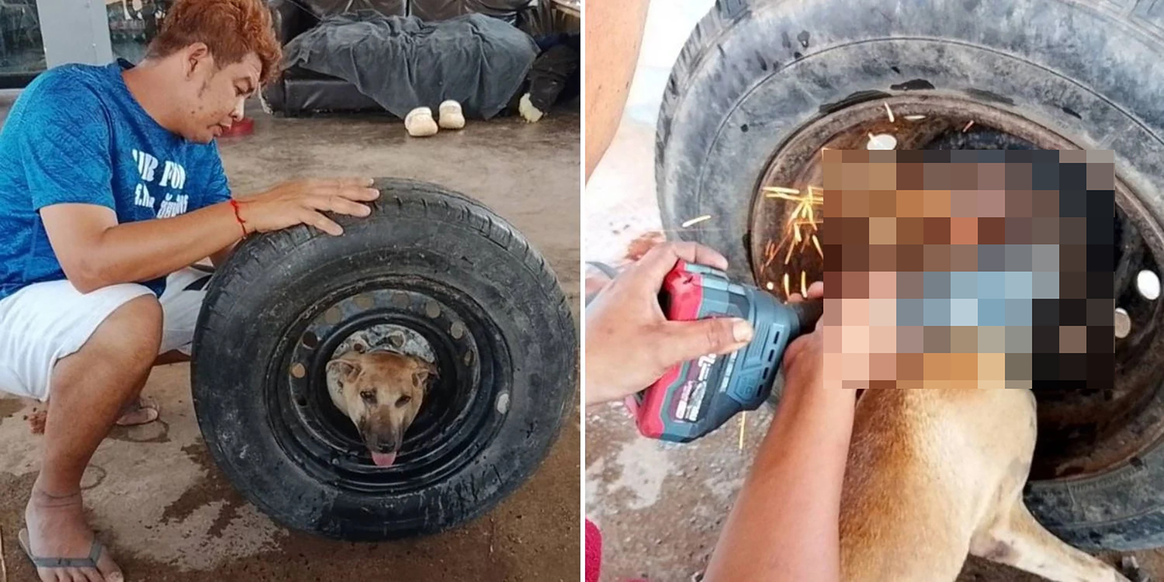 Geli kepala23 mozek