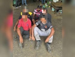 Imigresen cekup 22 warga asing kerja kilang kitar semula