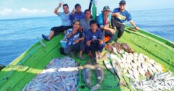Trip candat, yu kemejan menyapa