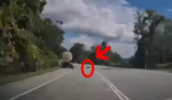 ‘Koyak’ kepala diterkam harimau kumbang ketika mahu buang air kecil