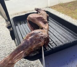 Bayar RM5,410 cuma dapat kambing golek ‘kurus’, gulai cair, sirap tawar
