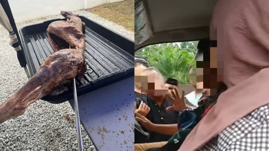 kambing kurus