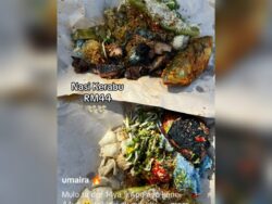 [VIDEO] Nasi kerabu RM44 daging keras macam batu