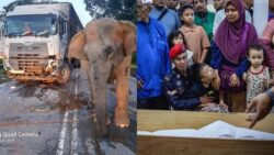 Minggu ‘air mata’ buat rakyat Malaysia