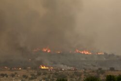 Israel rayu bantuan masyarakat antarabangsa padam kebakaran dahsyat