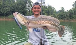 ‘Memetik’ toman bunga Tasik Kenyir
