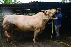 Kiko RM30,000 ditempah untuk korban