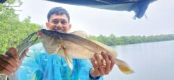 ‘Mengendap’ gelama tirusan di Sepang Besar