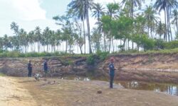 Mengilat siakap putih lubuk asuhan