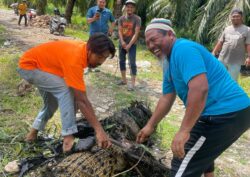Lagi ‘penunggu’ 300kg Sungai Batu Pahat ditangkap