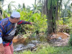 ‘Penunggu’ Sungai Batu Pahat bikin onar, penduduk mahu Perhilitan buat sesuatu
