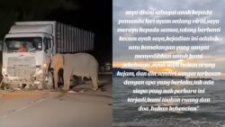 [VIDEO] ‘Kemalangan itu sangat menyedihkan buat kami sekeluarga’