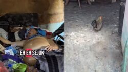 [VIDEO] Sakit hidup bersendirian ditemani ayam, kucing