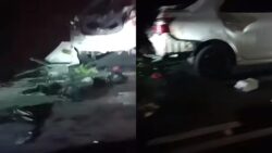 [VIDEO] Gajah mengamuk ‘serang’ kereta