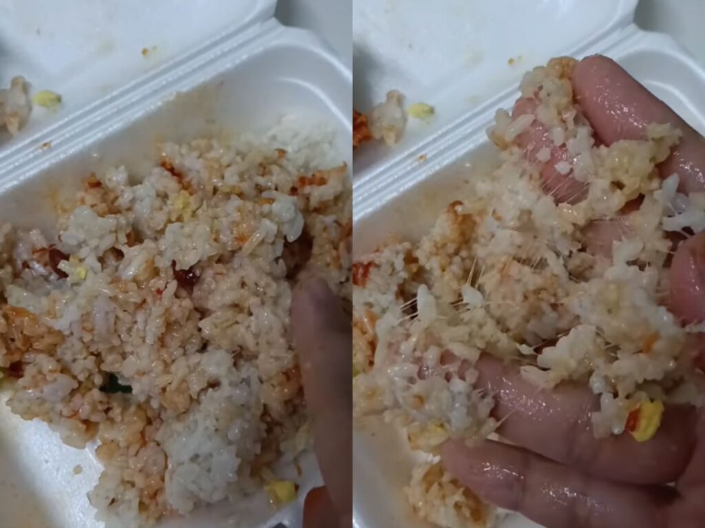 Selera putus angkara nasi lemak basi, berlendir