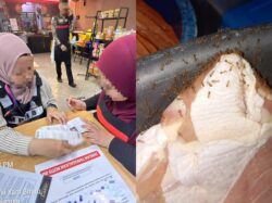 Tujuh premis ada najis tikus, lipas, katak di Batang Kali diarah tutup