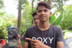 Terperanjat ‘disapa’ beruang matahari ketika sidai baju