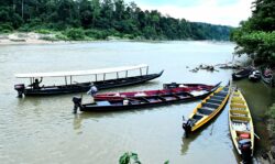 Guru imbau ‘takut’ naik bot penambang rentas Sungai Tembeling