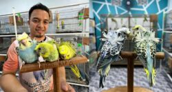 Sanggup berhabis ribuan ringgit demi baji