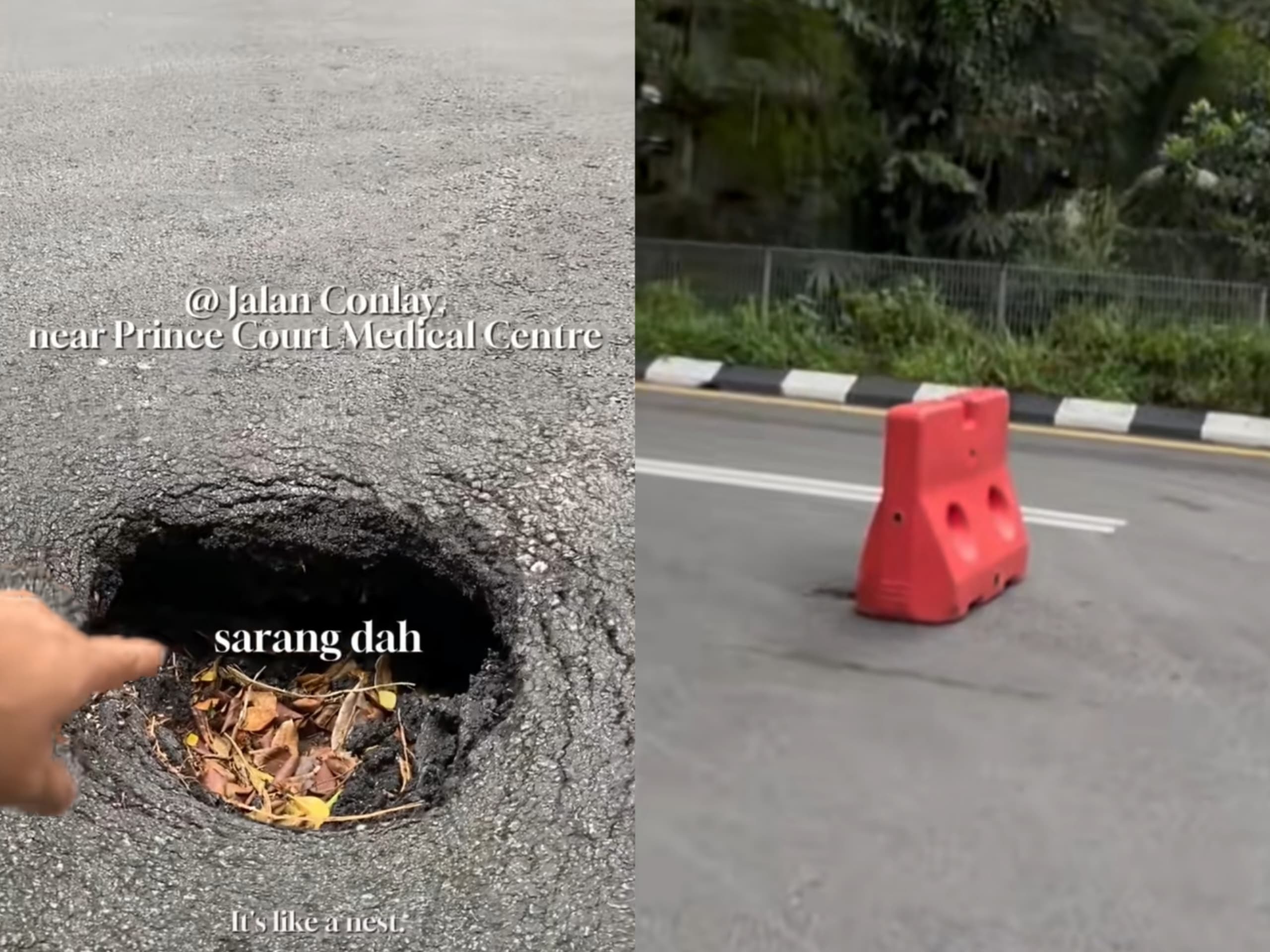 lapor