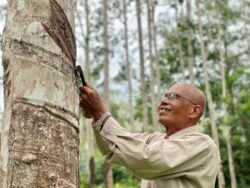 Isu petani tua kian meruncing