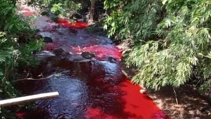 Penduduk gempar air sungai bertukar merah darah