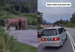[VIDEO] ‘Tengah bincang nak balik mana raya haji’