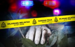 Lelaki maut ditikam rakan serumah