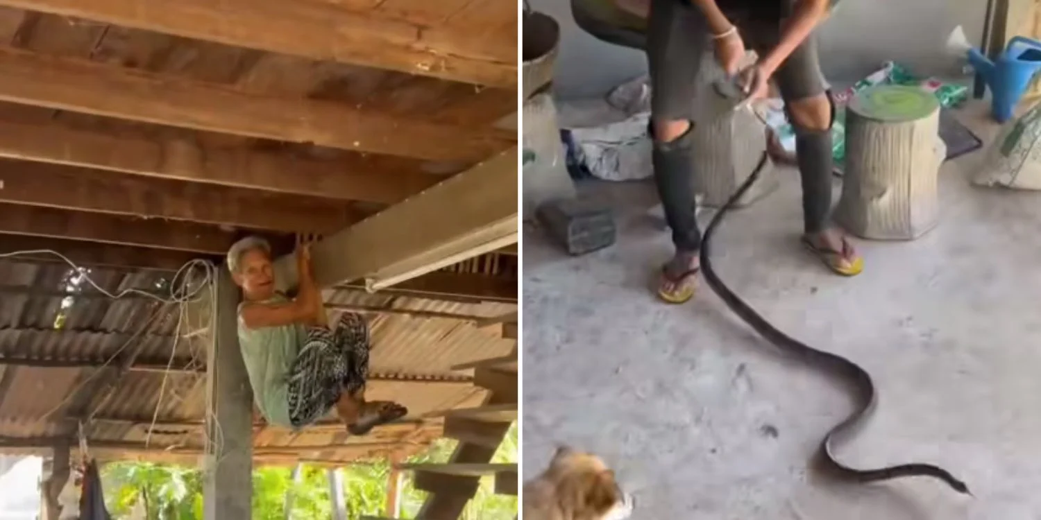 Nenek gayut pada rasuk kayu rumah kerana takut ular