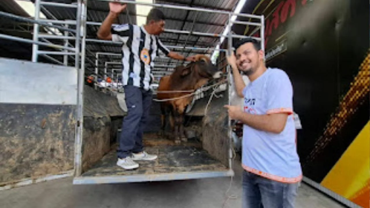 Beli kereta dapat lembu korban percuma