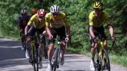Tujuh pelumba bantu Vingegaard tawan TdF