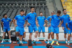 Penentu hujung jatuh Harimau Malaya