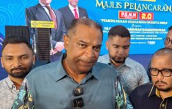 Pelantikan menteri penuh terpulang kepada PMX – Ramanan