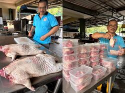 ‘Tengok memang tak lalu, tapi isi daging sedap masak rendang’