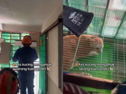[VIDEO] ‘Oyen’ naik angin, pemilik panggil APM