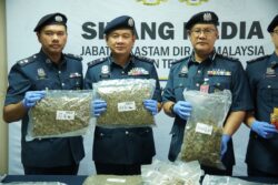 Bunga ganja bernilai RM5.56 juta dirampas di KLIA