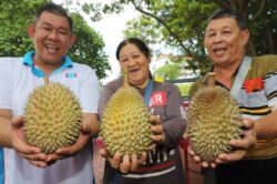 Durian king Auntie Eng bawa ‘ong’